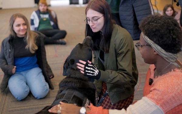 Therapy dogs in Hammond Main Lounge with female students