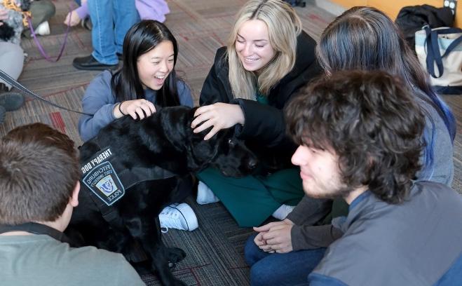 Students sitting on floor petting therapy dogs